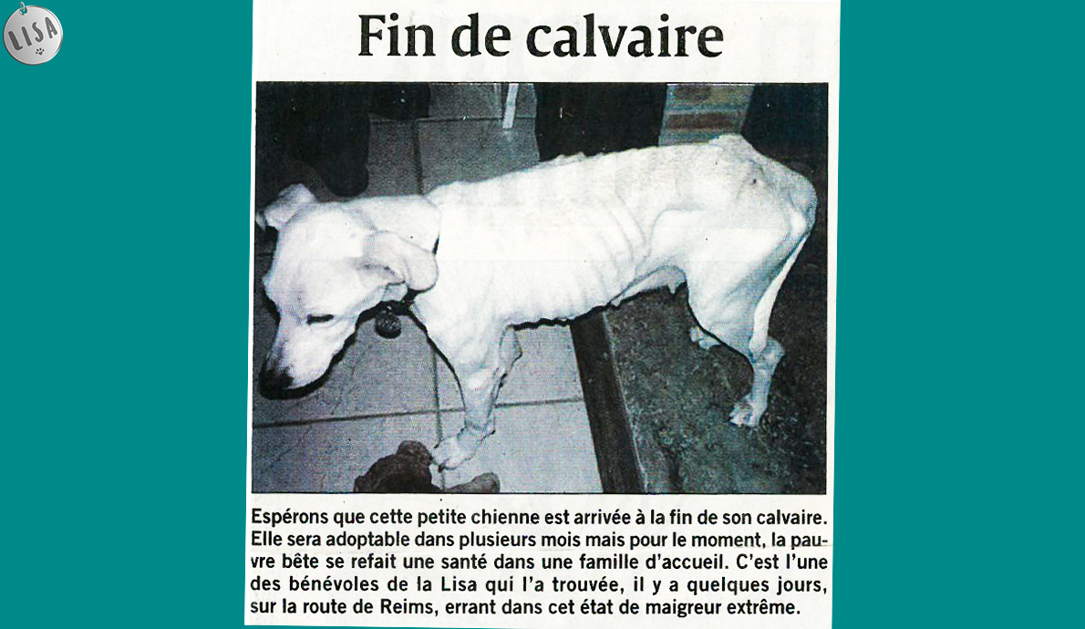 Fin de calvaire - Association LISA