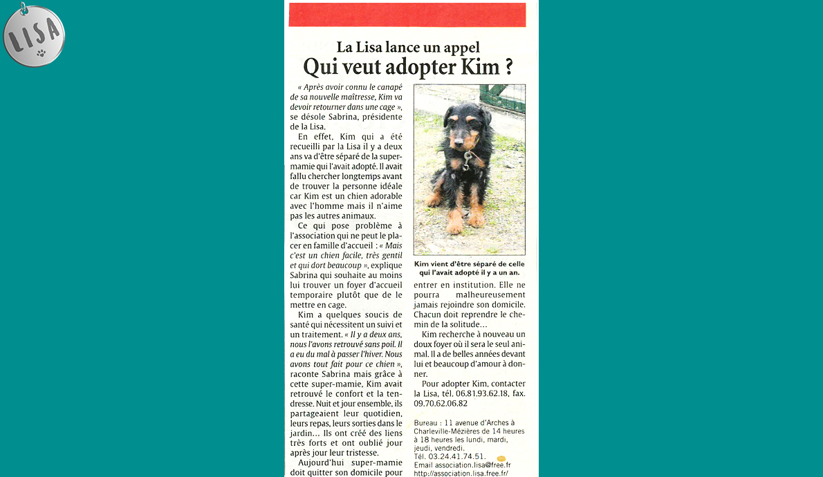 Qui veut adopter KIM ? - Association LISA