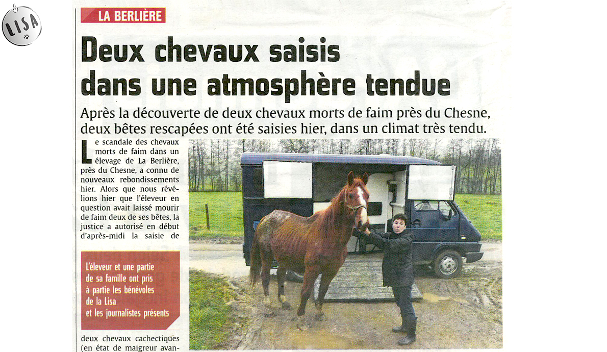 un simple amende pour avoir fait mourir de faim ses chevaux - Association LISA