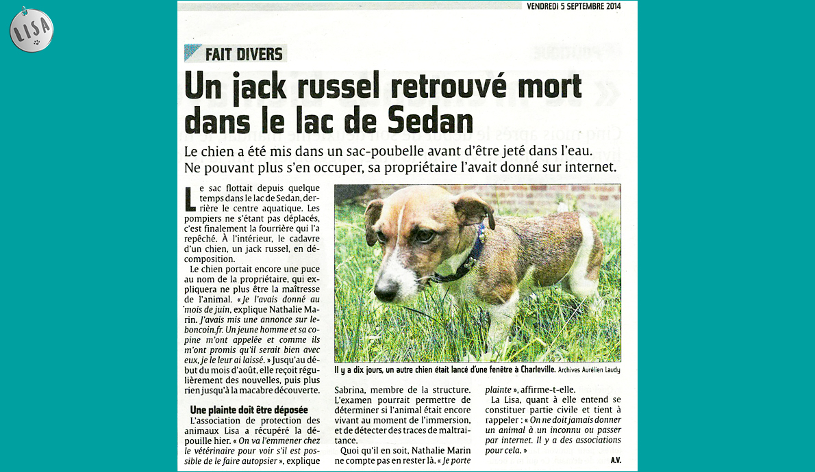 Un jack russel retrouvé mort dans le lac de Sedan - Association LISA