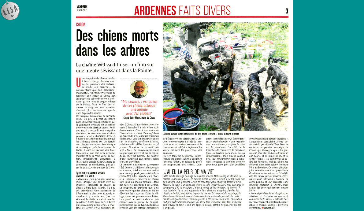 Des chiens morts dans les arbres - Association LISA