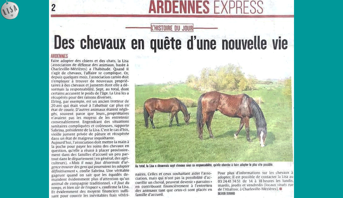 Des chevaux en quête d'un nouvelle vie - Association LISA