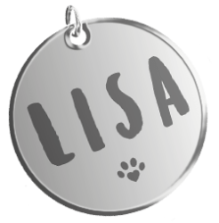 Association LISA