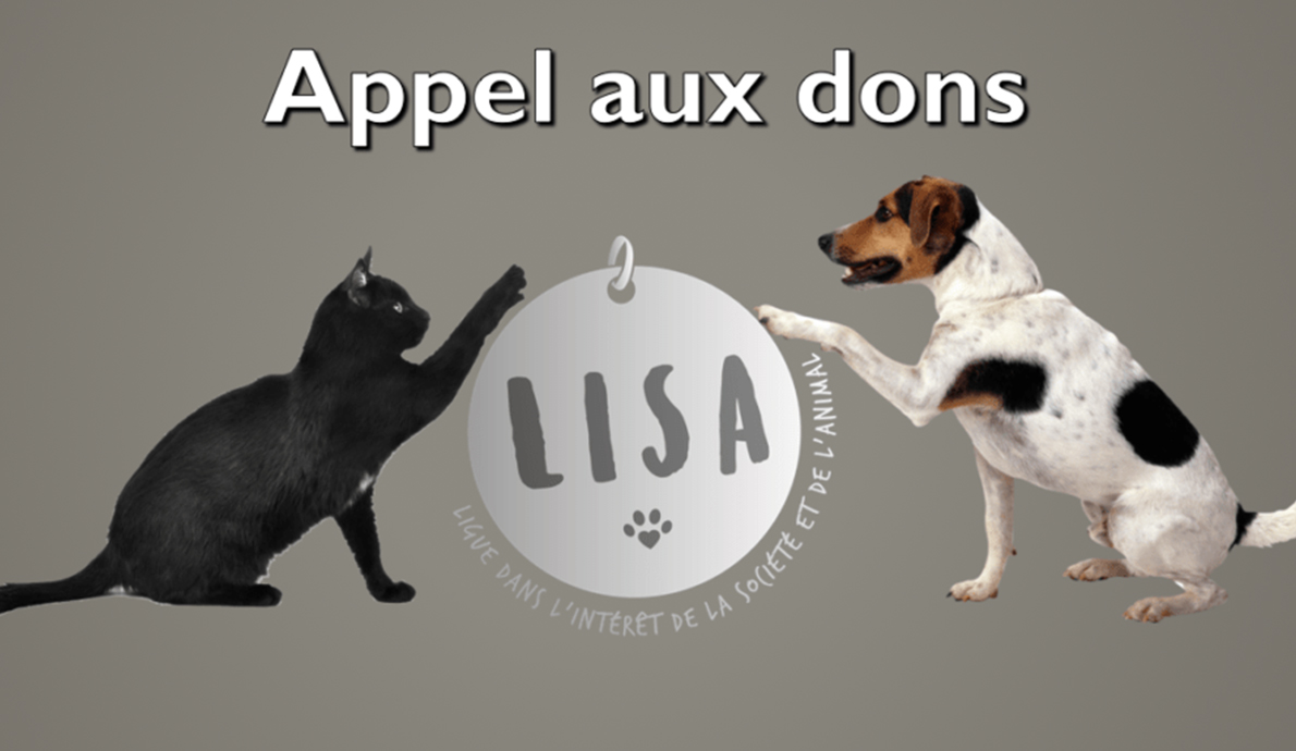 Appel aux dons exceptionnel_Association-LISA