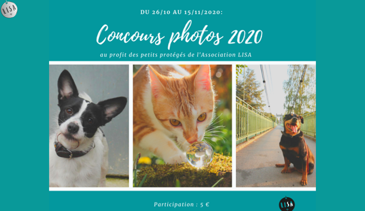 Concours photos 2020 - Association_LISA