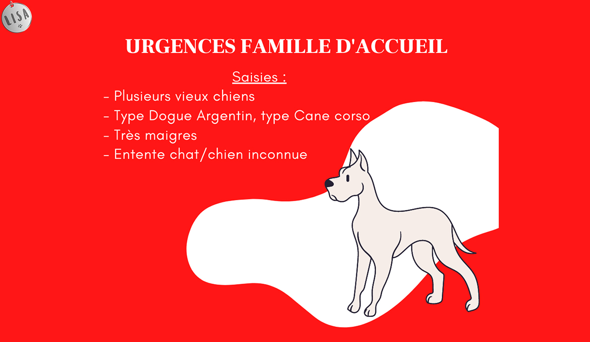 URGENCE : Recherche Familles d’Accueil - Association_LISA
