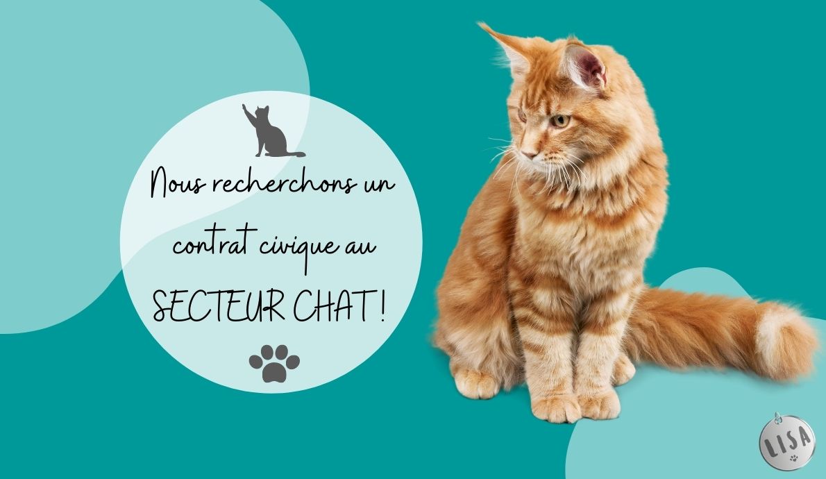 Contrat-civique_chat_Association-LISA
