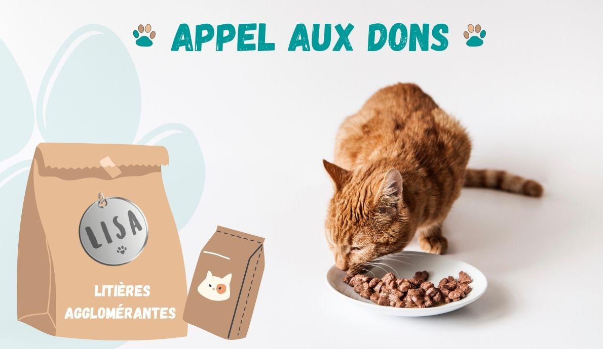 Appel_Aux_Dons