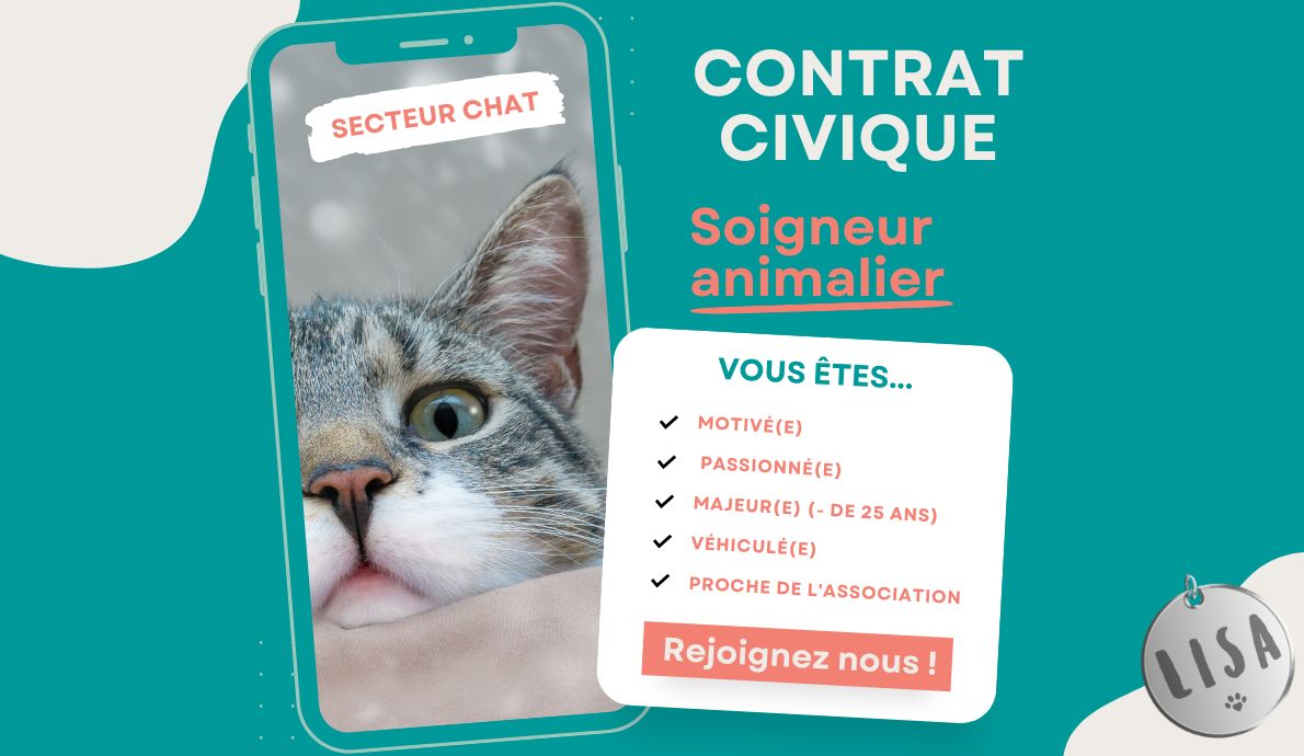 Contrat-civique_secteur-chat_Association-LISA