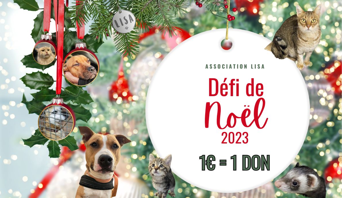 Défi-de-noel_Association-LISA