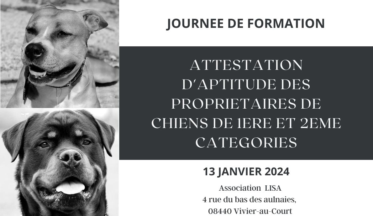 Formation-chiens-de-catégorie_Association-LISA